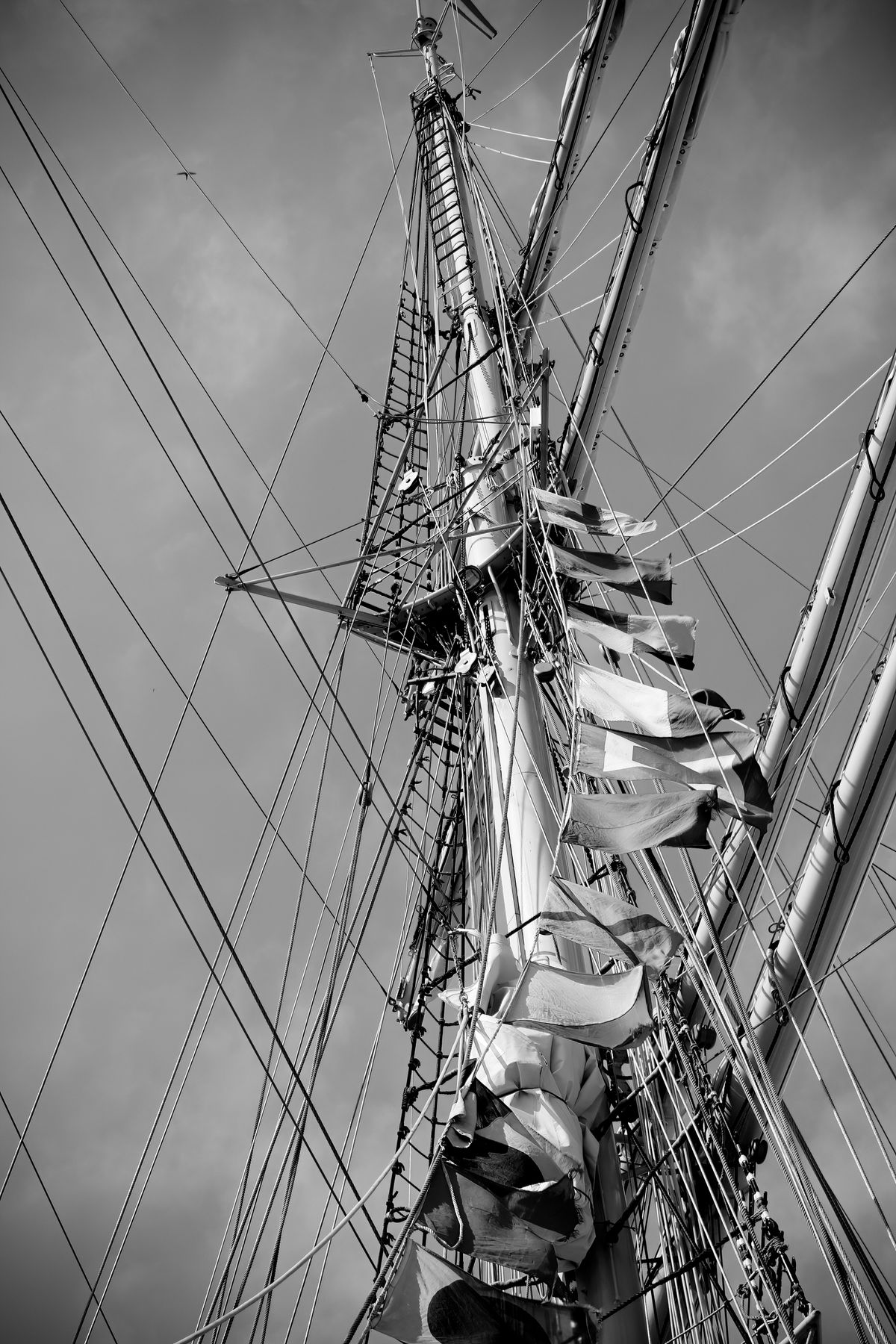 Photo of Masts of a Sailing Boat · Free Stock Photo