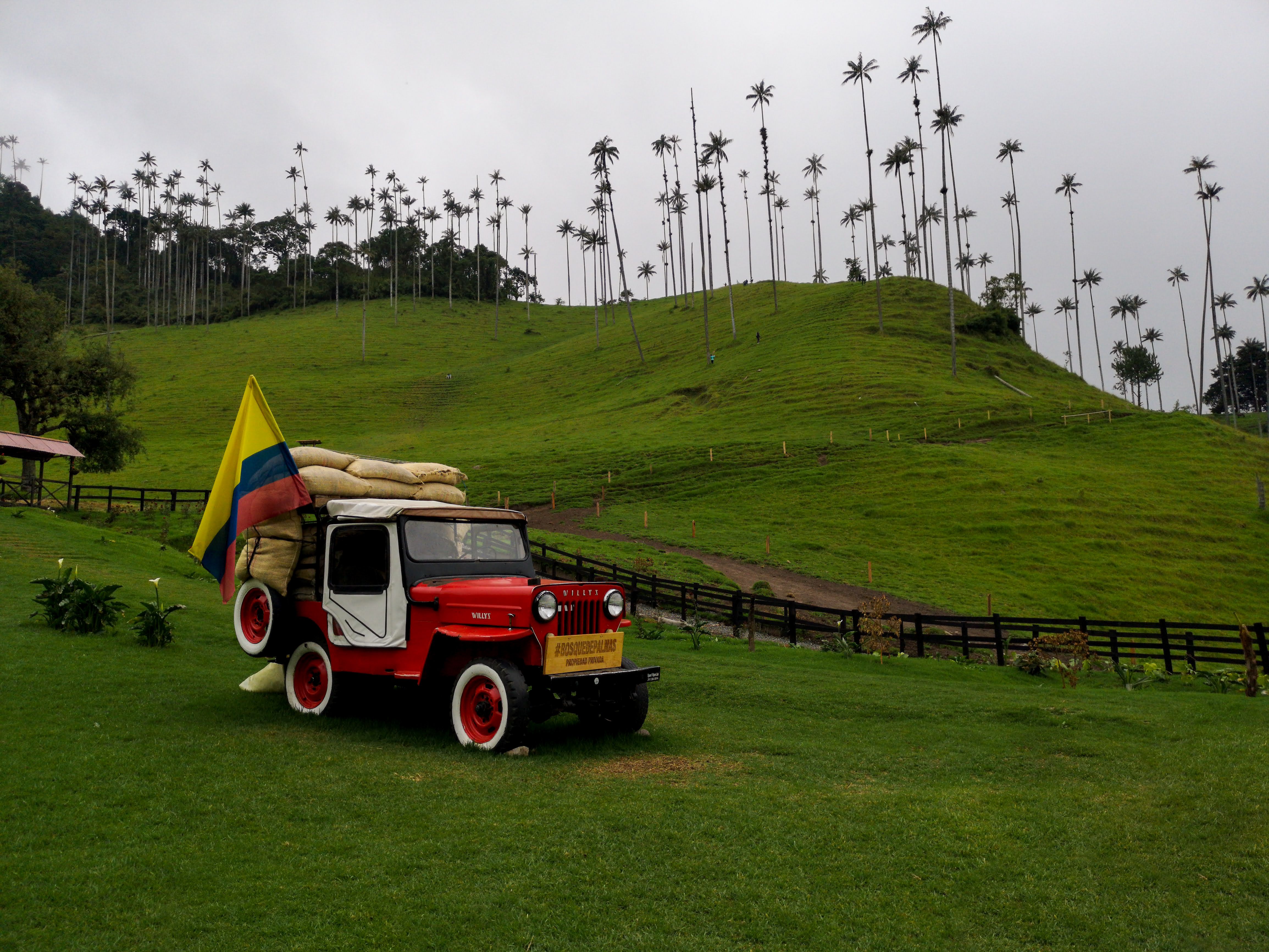 Easy Ride Rentals – Car Rental in Cartagena | Cartagena