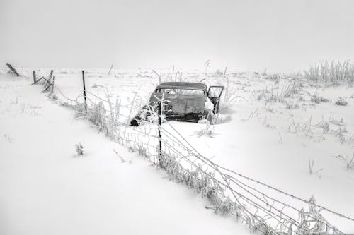 Základová fotografie zdarma na téma auto, černobílý, sezóna
