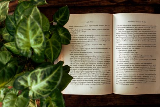 Open book with green potted plant on a wooden table, creating a calm reading atmosphere.