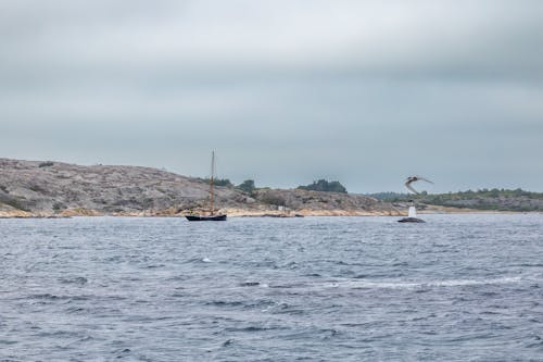 Foto profissional grátis de barco, barco a vela, costa
