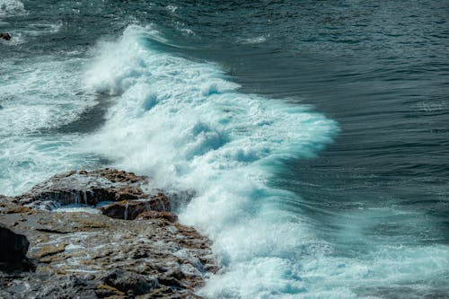 A person standing on a rock next to a body of water