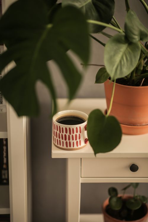 Free A coffee mug with a potted plant creates a warm indoor ambiance. Stock Photo
