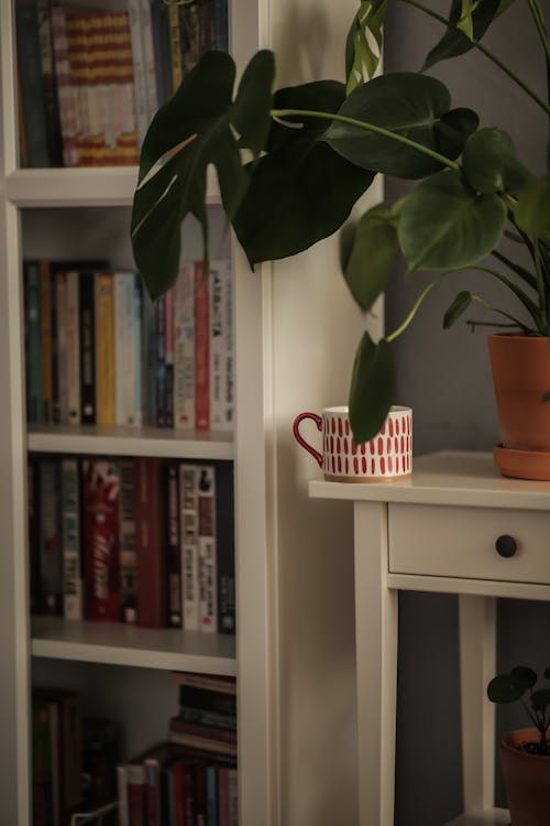 Cozy Book Corner