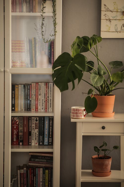 Shelves with Books in Apartment