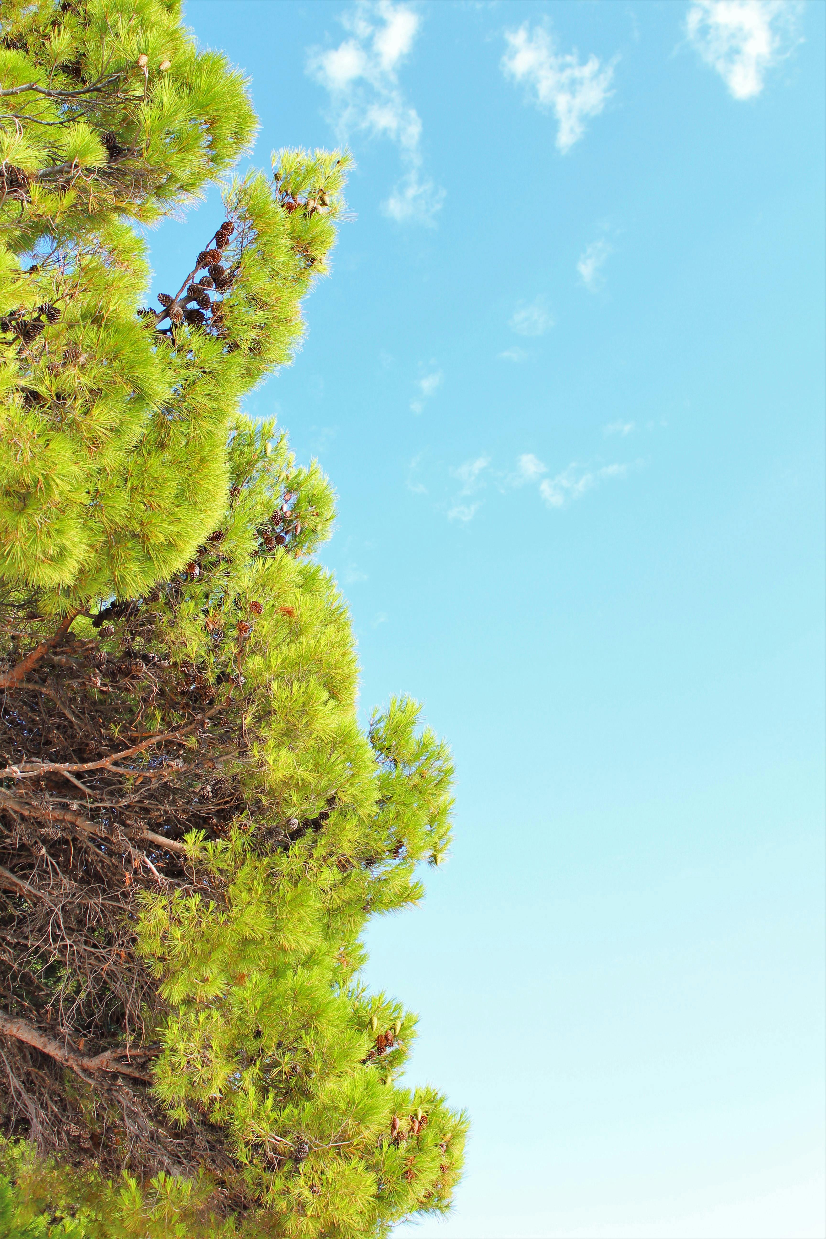 مايكروسوفت تستحوذ رسميًا على Activision Blizzard: ماذا يعني هذا للاعبين في الخليج؟ شاشة تعرض لعبة عالمية مع تحكم اللاعب