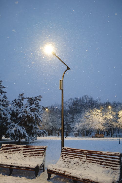 Snowing in Park at Night