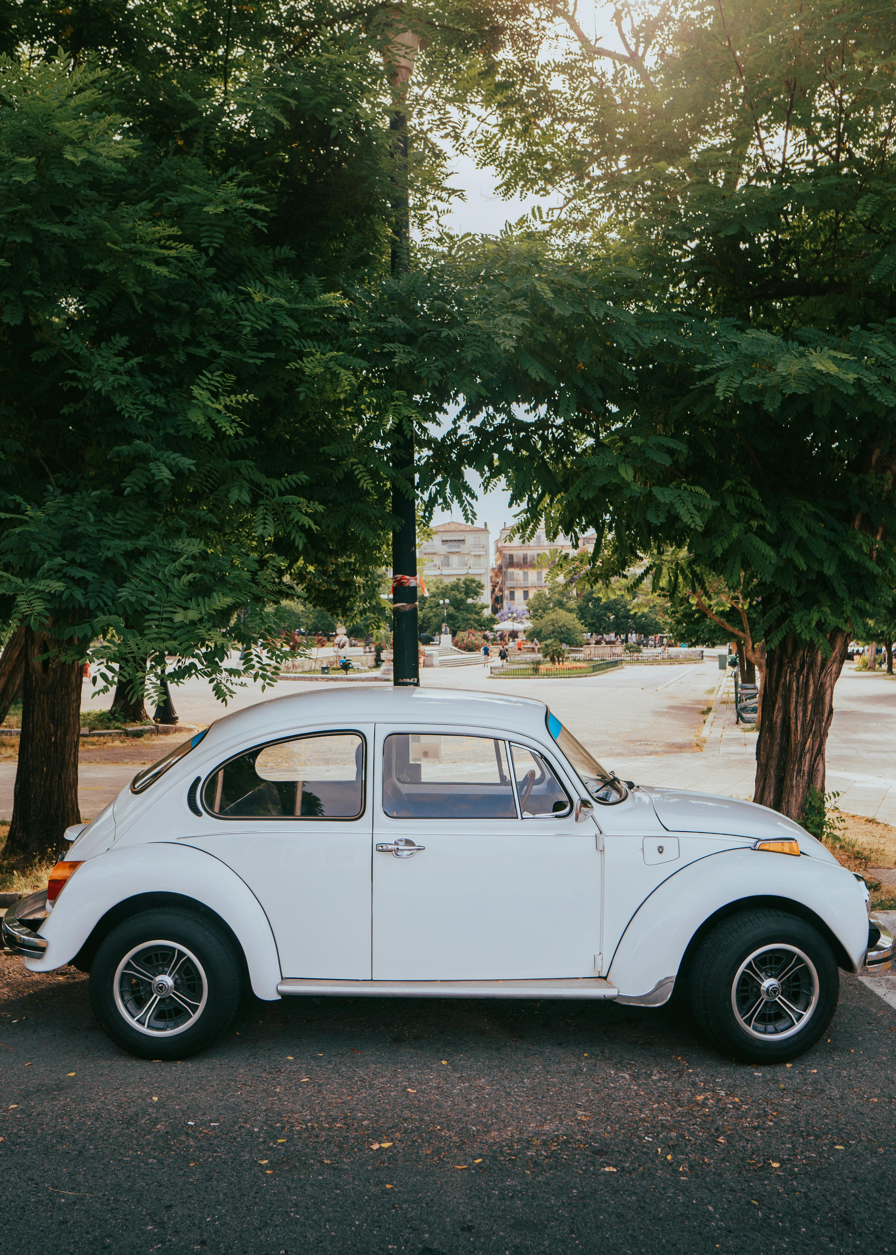 Vintage white Beetle car parked under lush green trees in Kerkyra, capturing a nostalgic vibe.