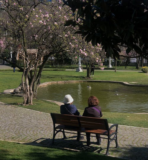 Free Back View of Two Women Sitting on the Bench in a Park  Stock Photo