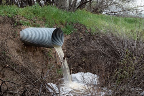 Improve Yard Drainage Before Autumn Storms Arrive
