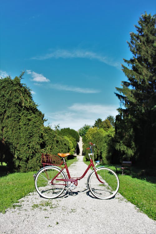 Gratis lagerfoto af cykel, dagslys, græs