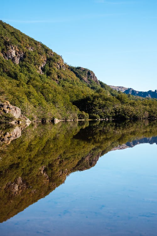 Photos gratuites de arbres, colline, lac