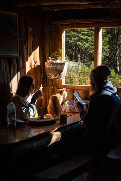 Photos gratuites de animal de compagnie, cabane en bois, cabine