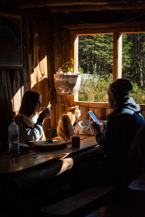 Free Two people enjoying coffee and sunlight in a wooden cabin with a cat at the window. Stock Photo