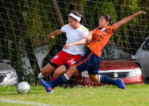 Free Dynamic image capturing two female soccer players in action during a game, showcasing teamwork and competition. Stock Photo