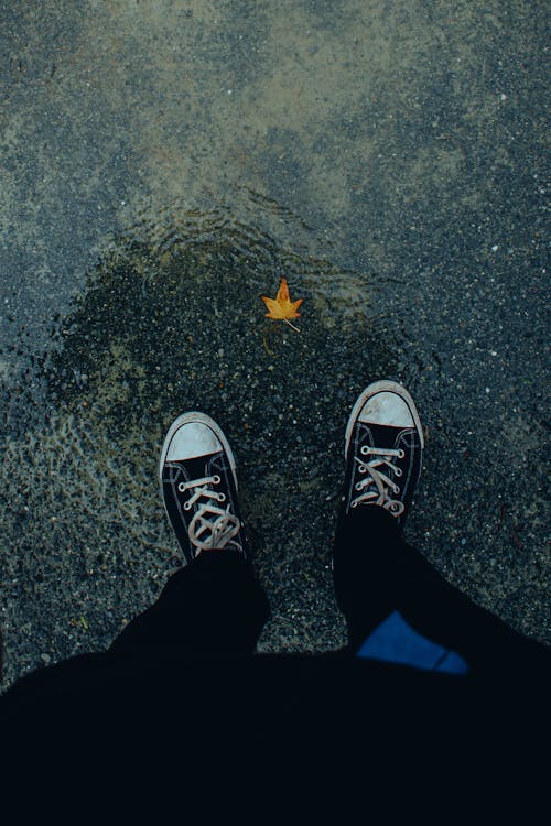 Legs Standing in Puddle