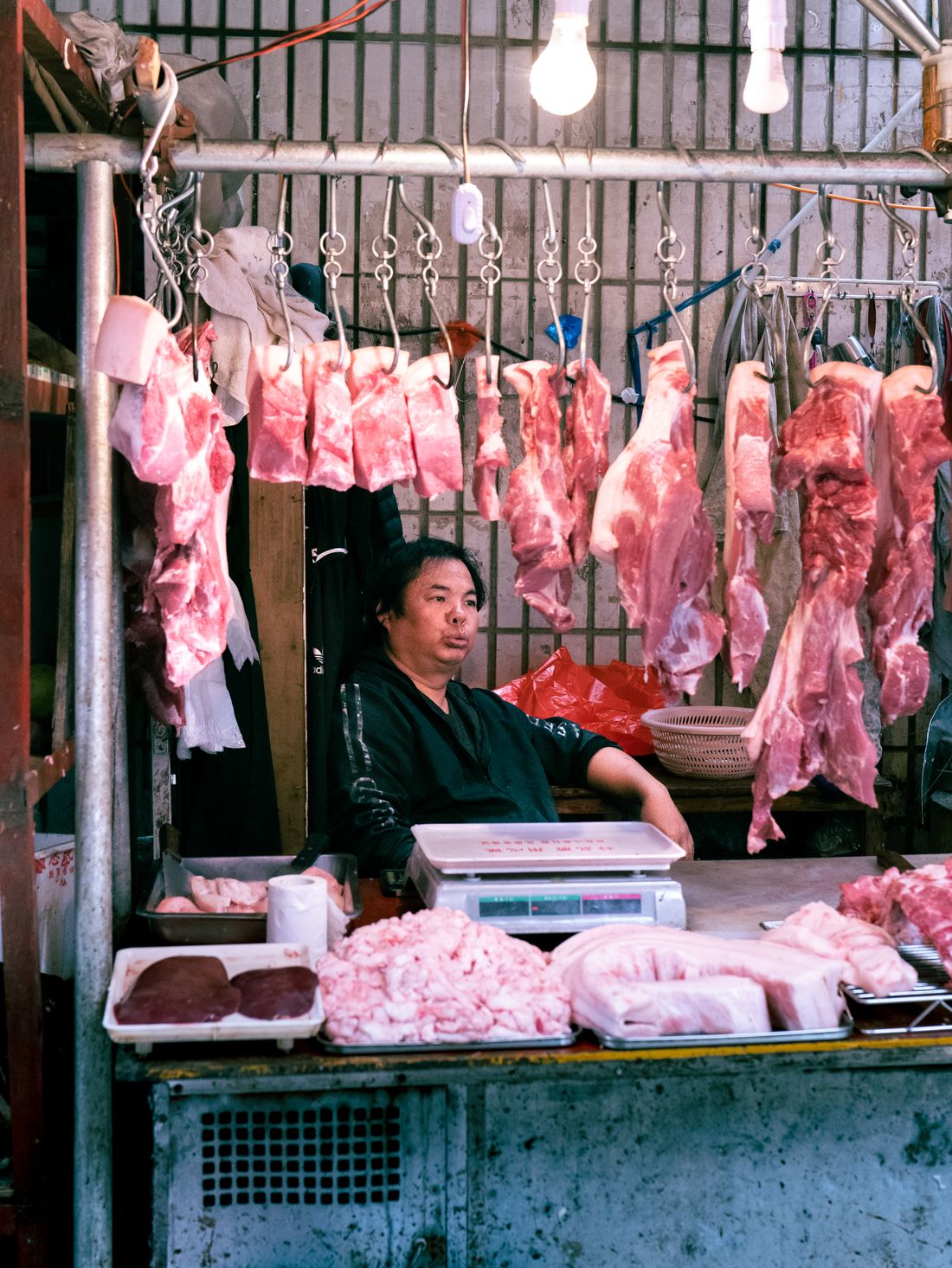 Meat and meat products for wholesale trade