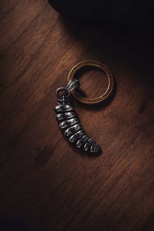 Silver Keychain on Brown Background