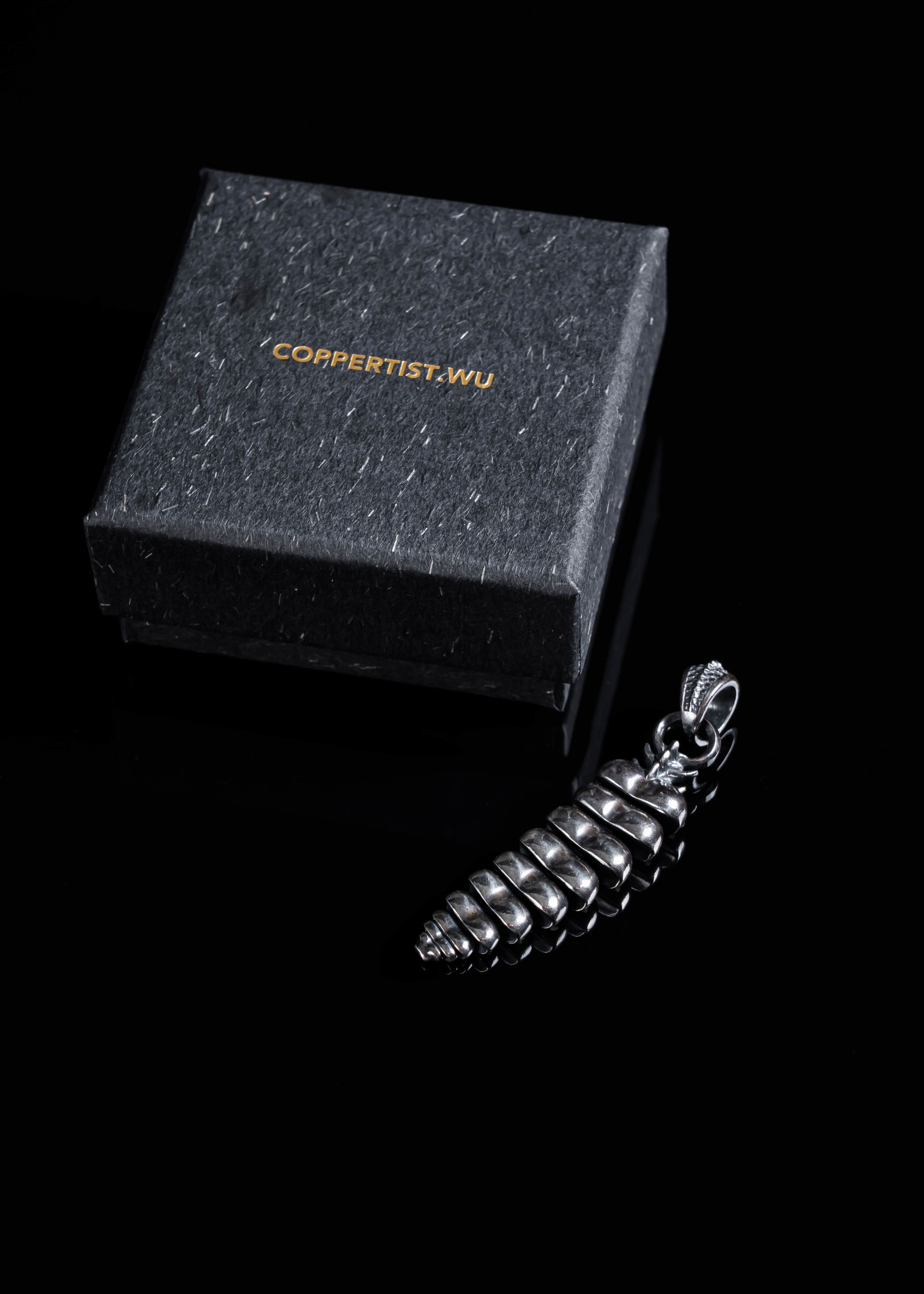 Silver dragon tail pendant beside a textured box on a black background, elegant and modern.
