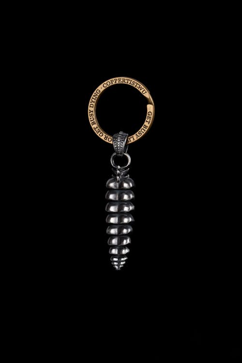 Close-up of a Rattlesnake Tail Key Chain