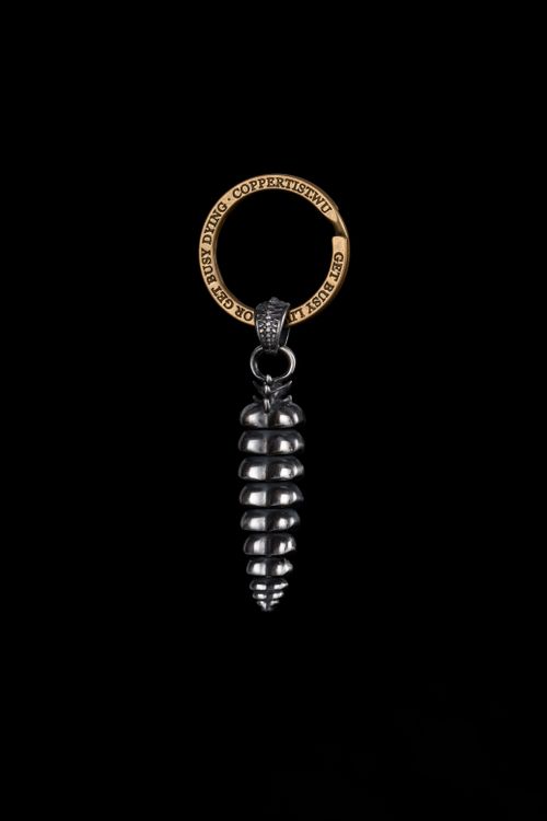 Free Close-up of a silver rattlesnake tail keychain pendant with metal ring on a black background. Stock Photo