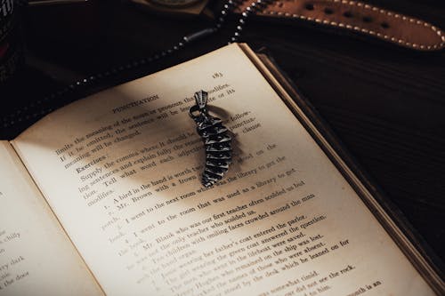 Silver Dragon Tail on Book Page