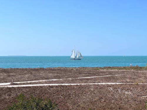 View of a Sailboat on a Sea under Blue Sky 