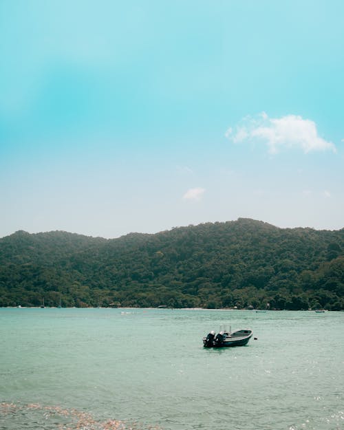 A Boat on the Water and Hills Covered in Forest under Blue Sky 