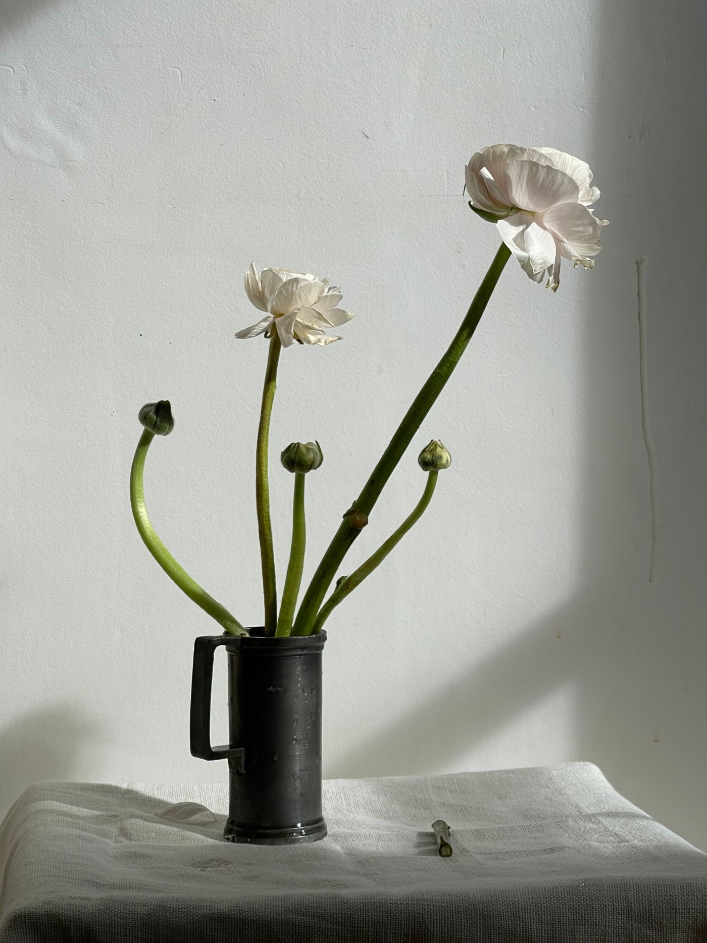 Flower still life