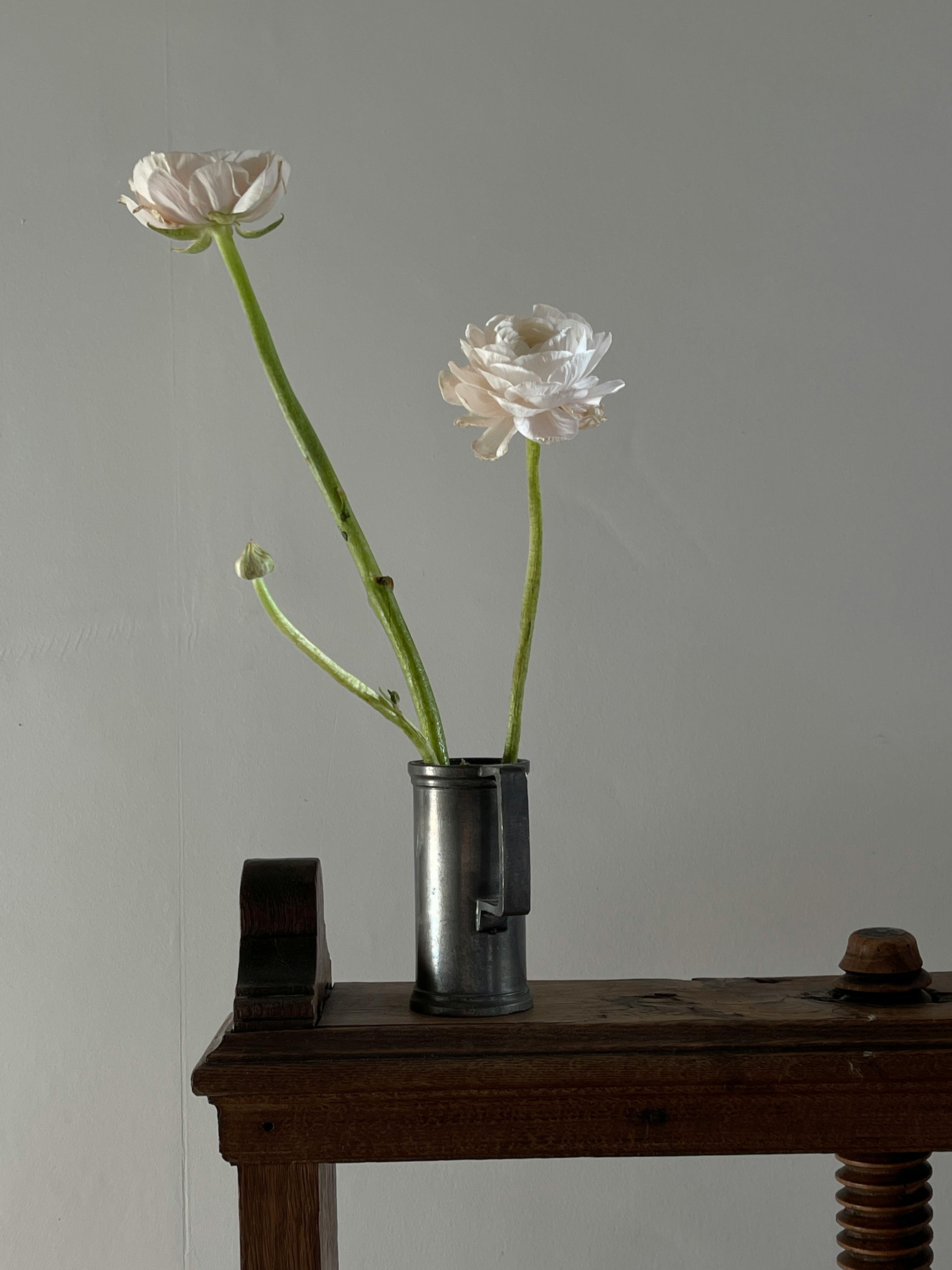 White Roses in Vase · Free Stock Photo