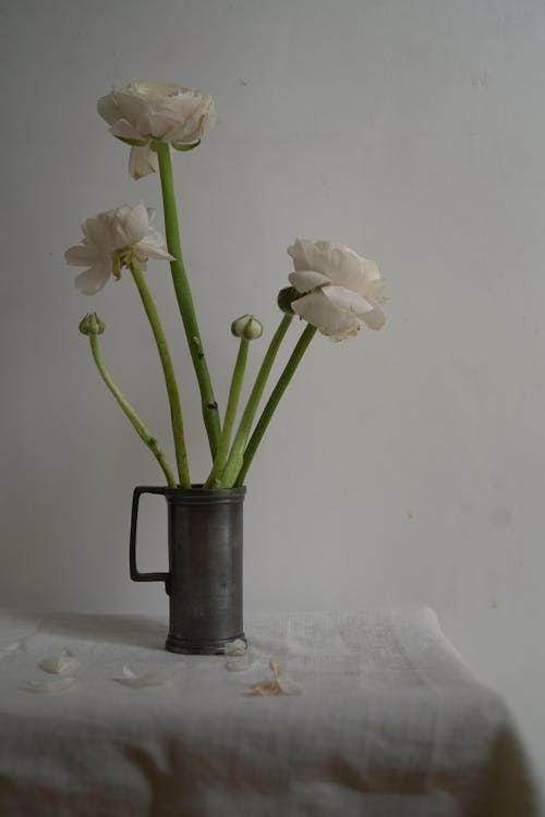 Foto profissional grátis de arranjo, flores, natureza-morta