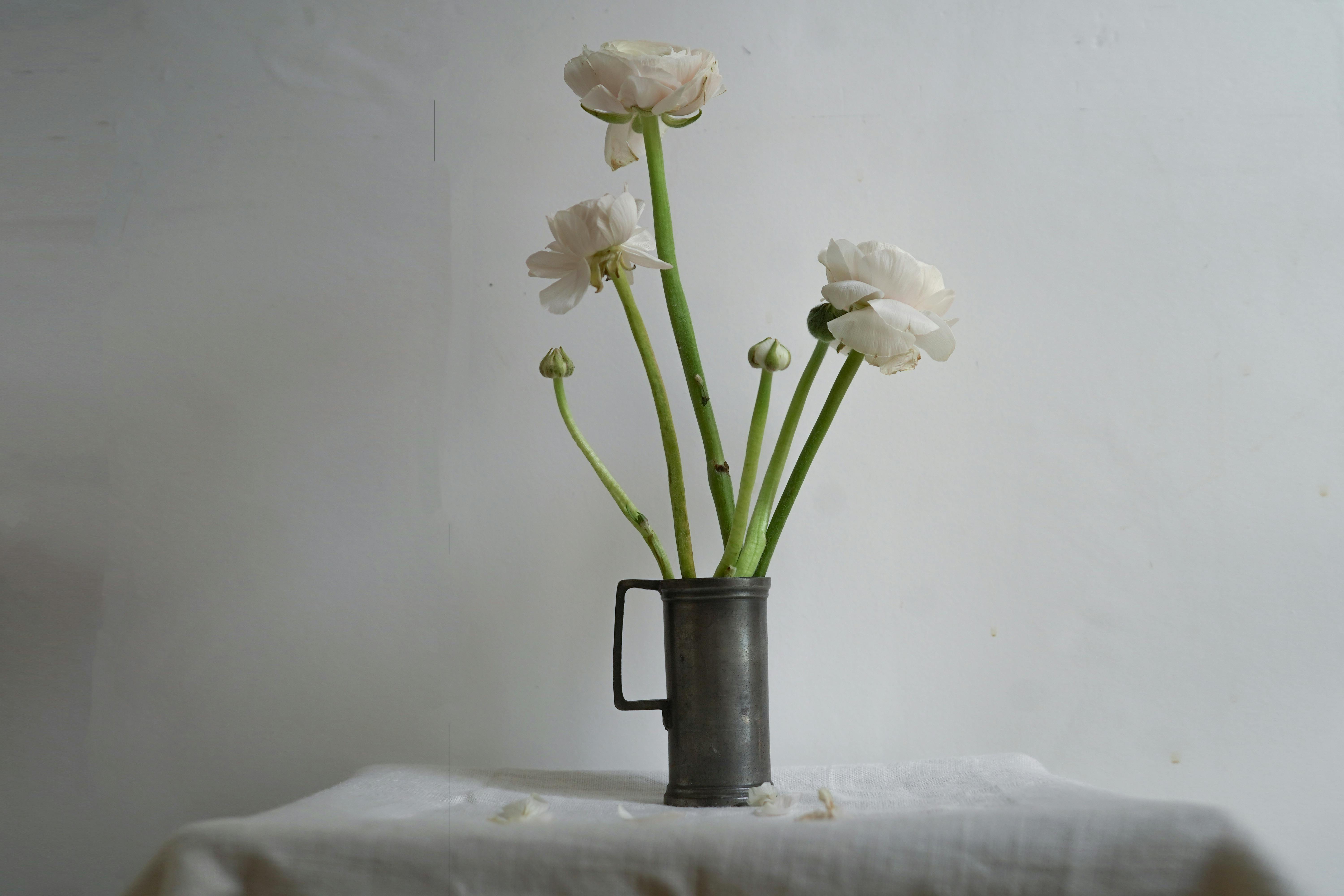 Elegant ranunculus flowers arranged in a rustic metal vase, showcasing minimalist beauty.