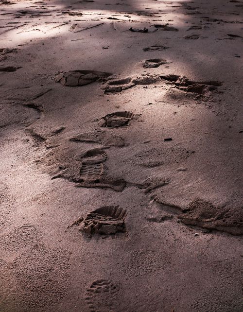Free Shadows cast on footprints in wet sand on a beach, captured with high detail. Stock Photo