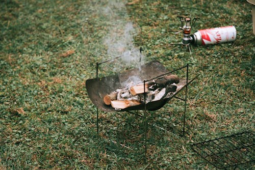 Darmowe zdjęcie z galerii z barbecue, dym, polana