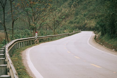 Fotos de stock gratuitas de arboles, asfalto, carretera