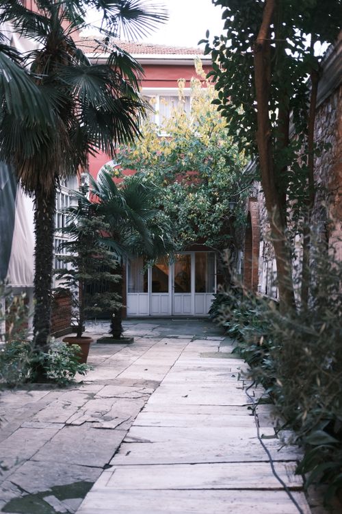 Free Tranquil courtyard featuring palm trees, lush greenery, and a charming brick house. Stock Photo