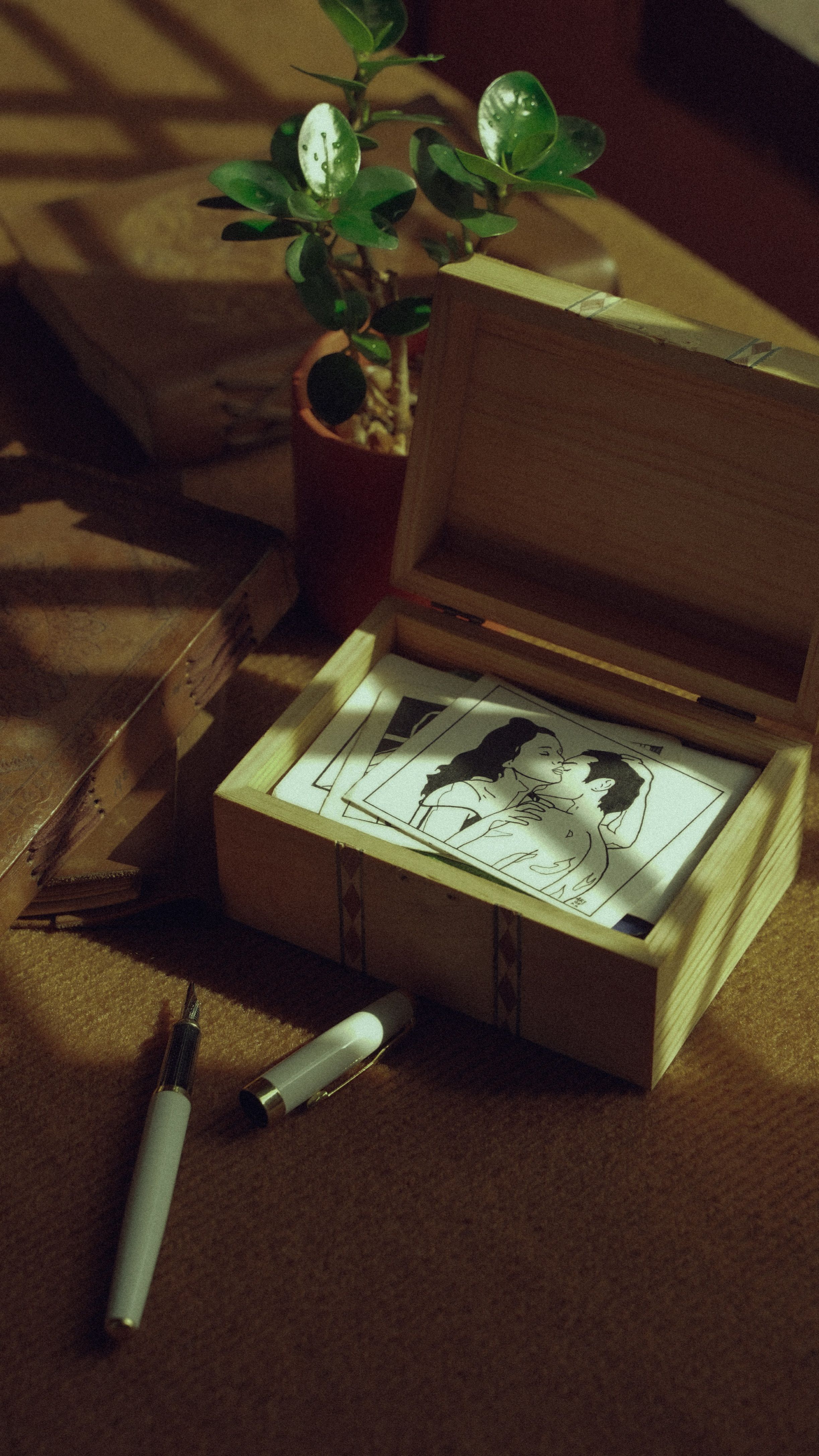 Cozy scene featuring a romantic illustration inside a wooden box with a plant and pen nearby on a table.