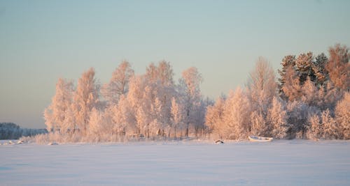 Winter Lake