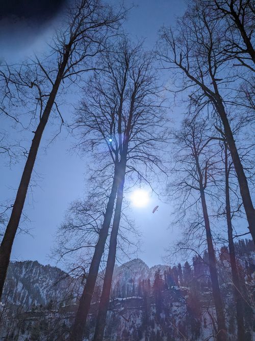 Free stock photo of bright sun, heavy snow, paraglider Stock Photo