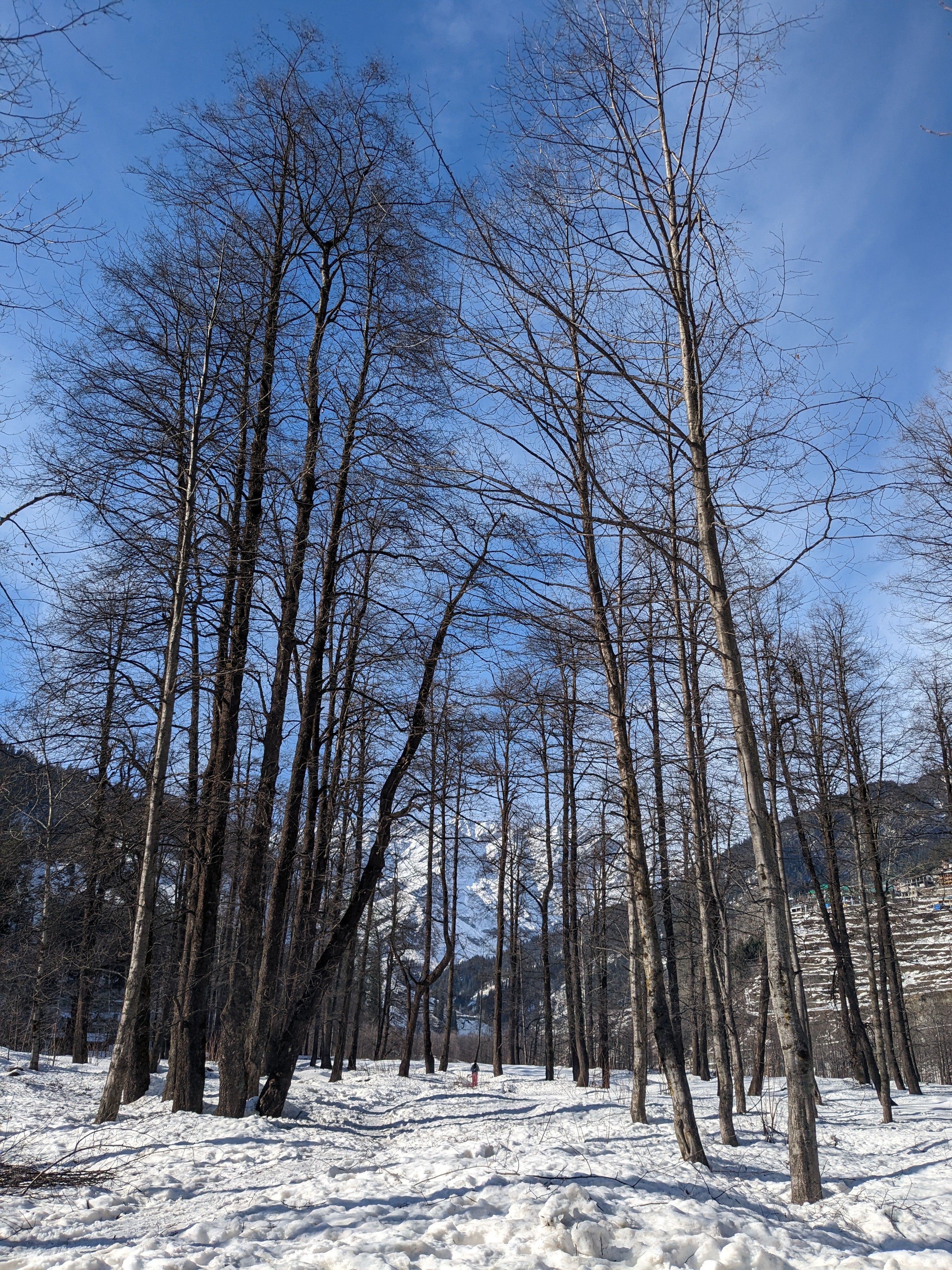 Manali Family