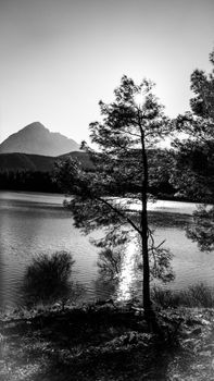 Image by Ayşegül  Aytören