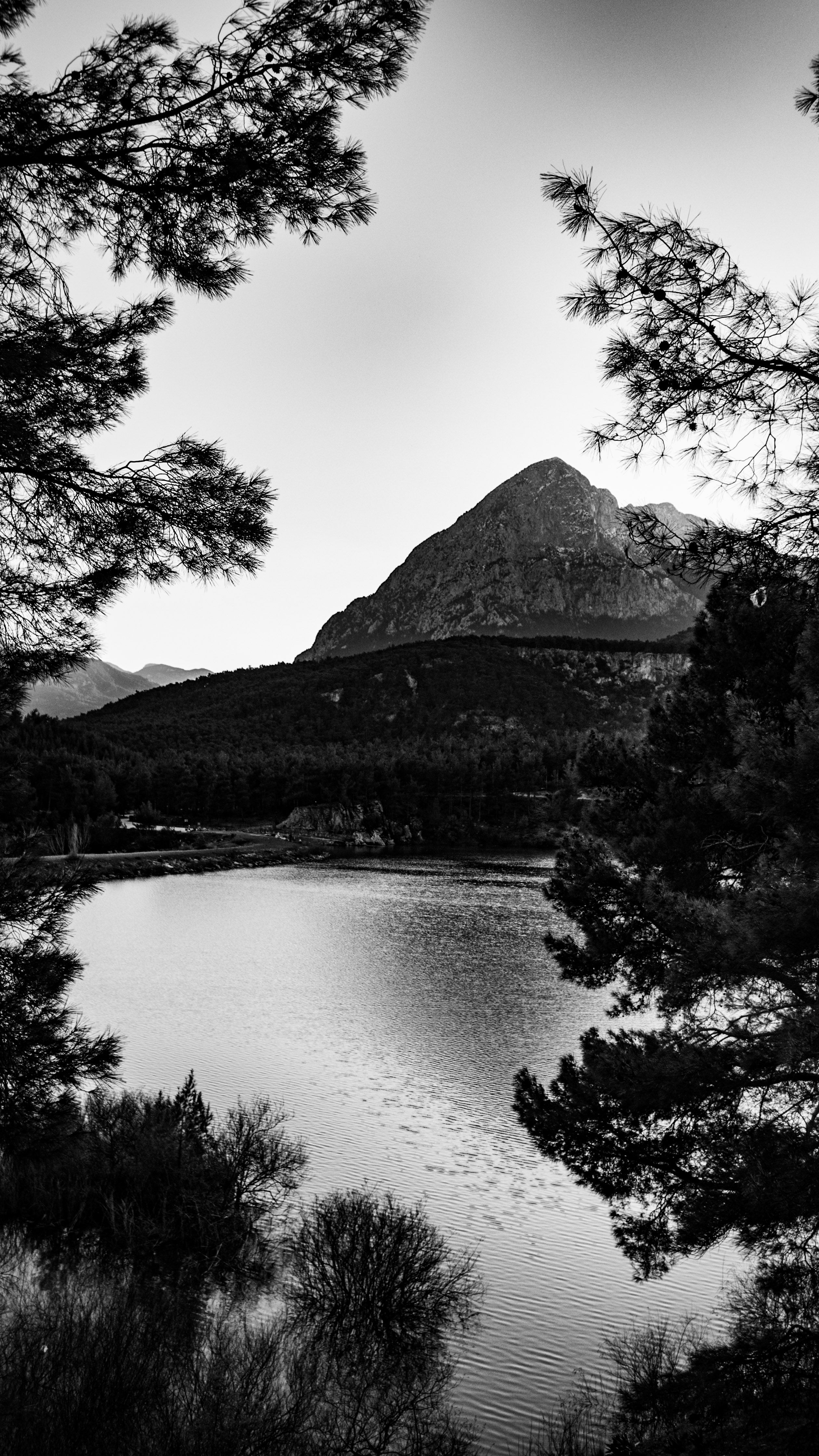 Fotomural Imagen en blanco y negro de un lago tranquilo rodeado de bosques y montañas.