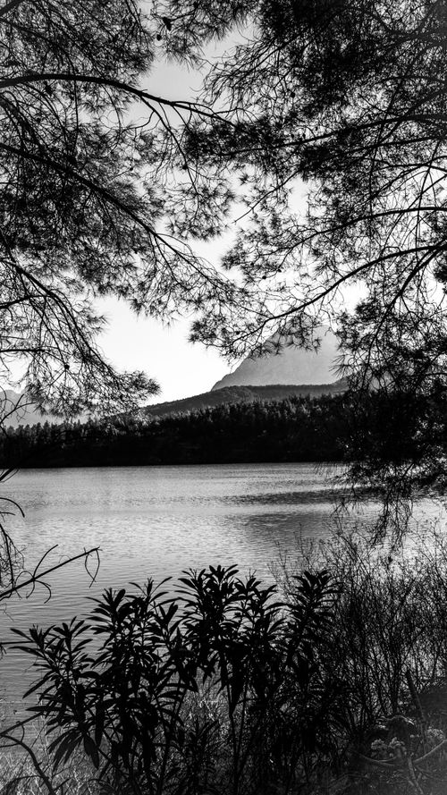 Free Serene black and white photo of a lake framed by tree branches in a wilderness. Stock Photo