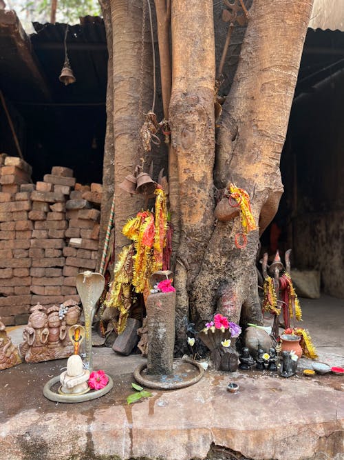 Imagine de stoc gratuită din altar, arbore, fotografiere verticală