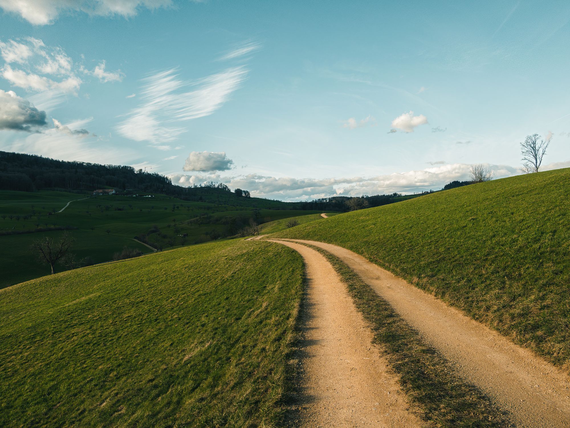 Hilly Countryside in Summer · Free Stock Photo