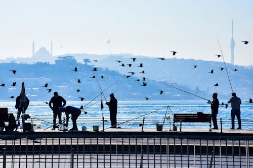 Photos gratuites de bosphore, citadin, des cannes à pêche