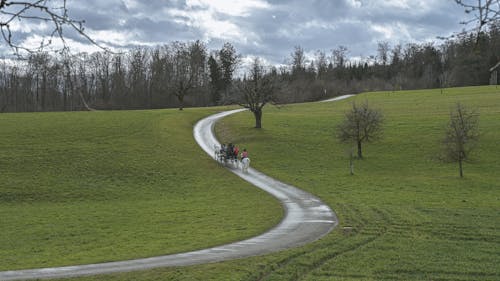 Photos gratuites de caddie, campagne, chevaux