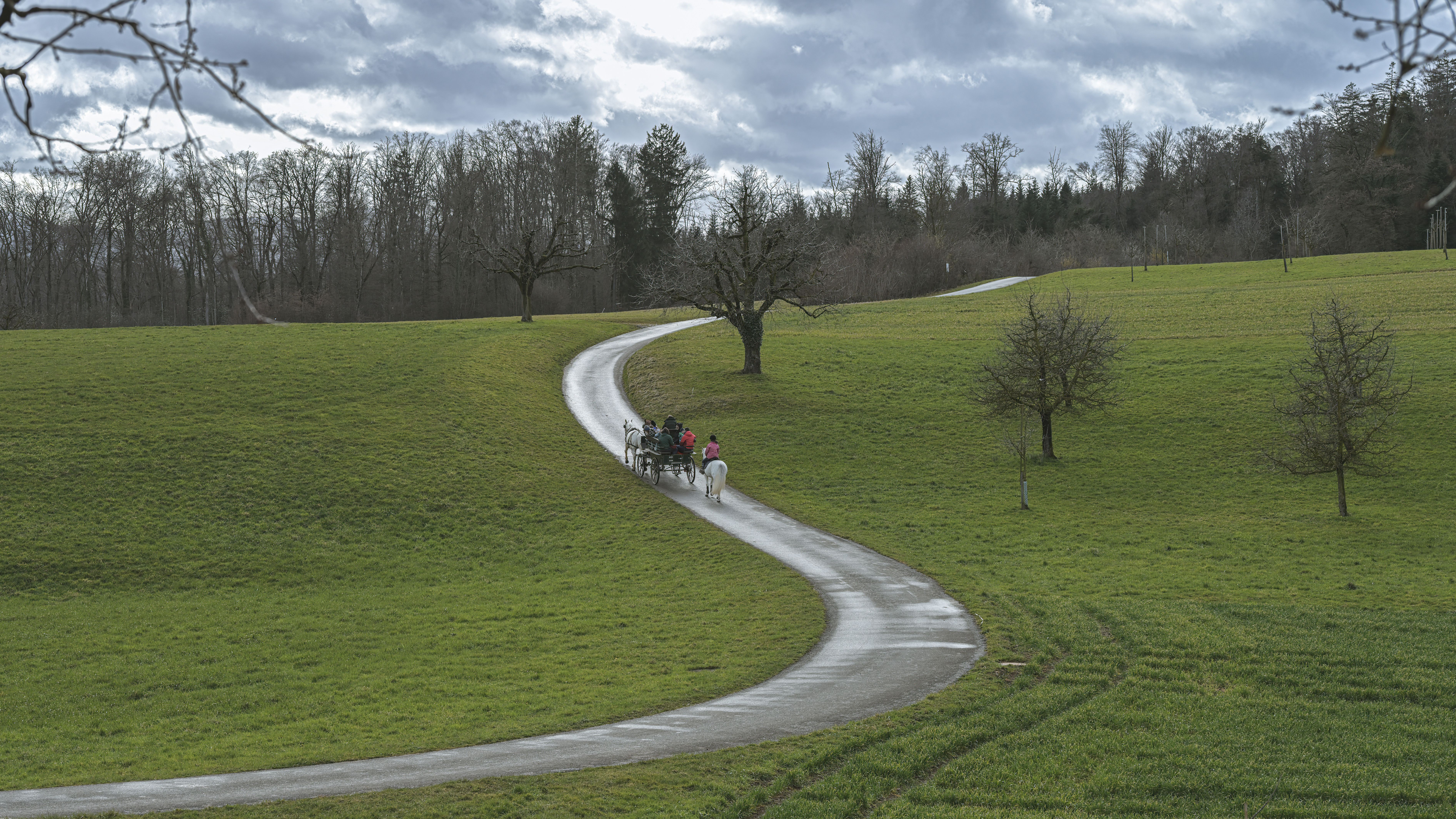 Horse-Drawn Cart on Road in Countryside · Free Stock Photo