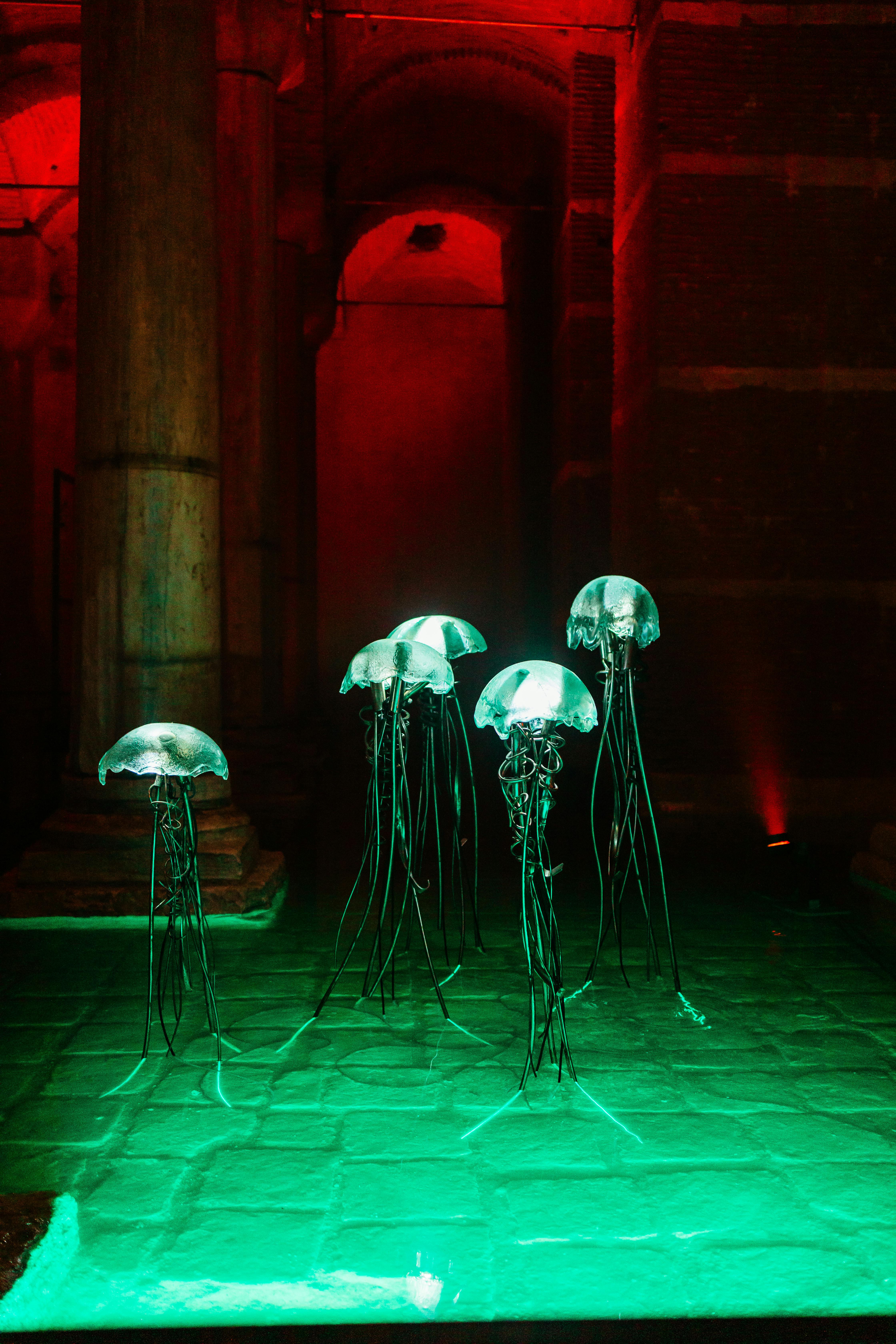 ฟรี คลังภาพถ่ายฟรี ของ # ในร่ม, türkiye, การจัดแสดงศิลปะ คลังภาพถ่าย