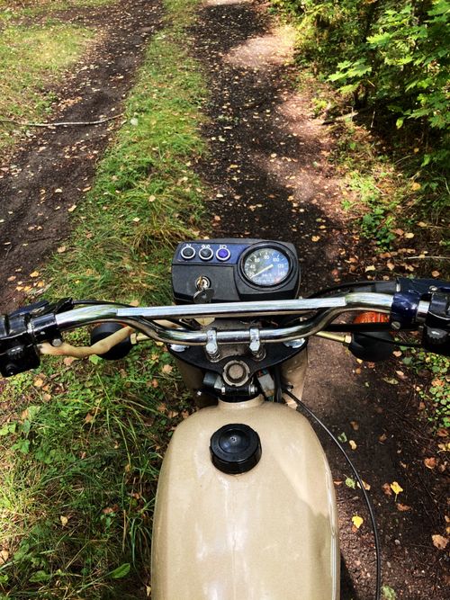 Free View of motorcycle handlebars on a dirt road surrounded by greenery. Stock Photo